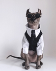 Three-piece suit for SphynxCat