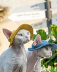 Two Devon Rex cats wearing yellow and blue cat sun hats on a sunny street