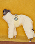 Italian Greyhound & Whippet Snowsuit – Lamb Fleece Winter Onesie