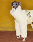 Italian Greyhound & Whippet Snowsuit – Lamb Fleece Winter Onesie
