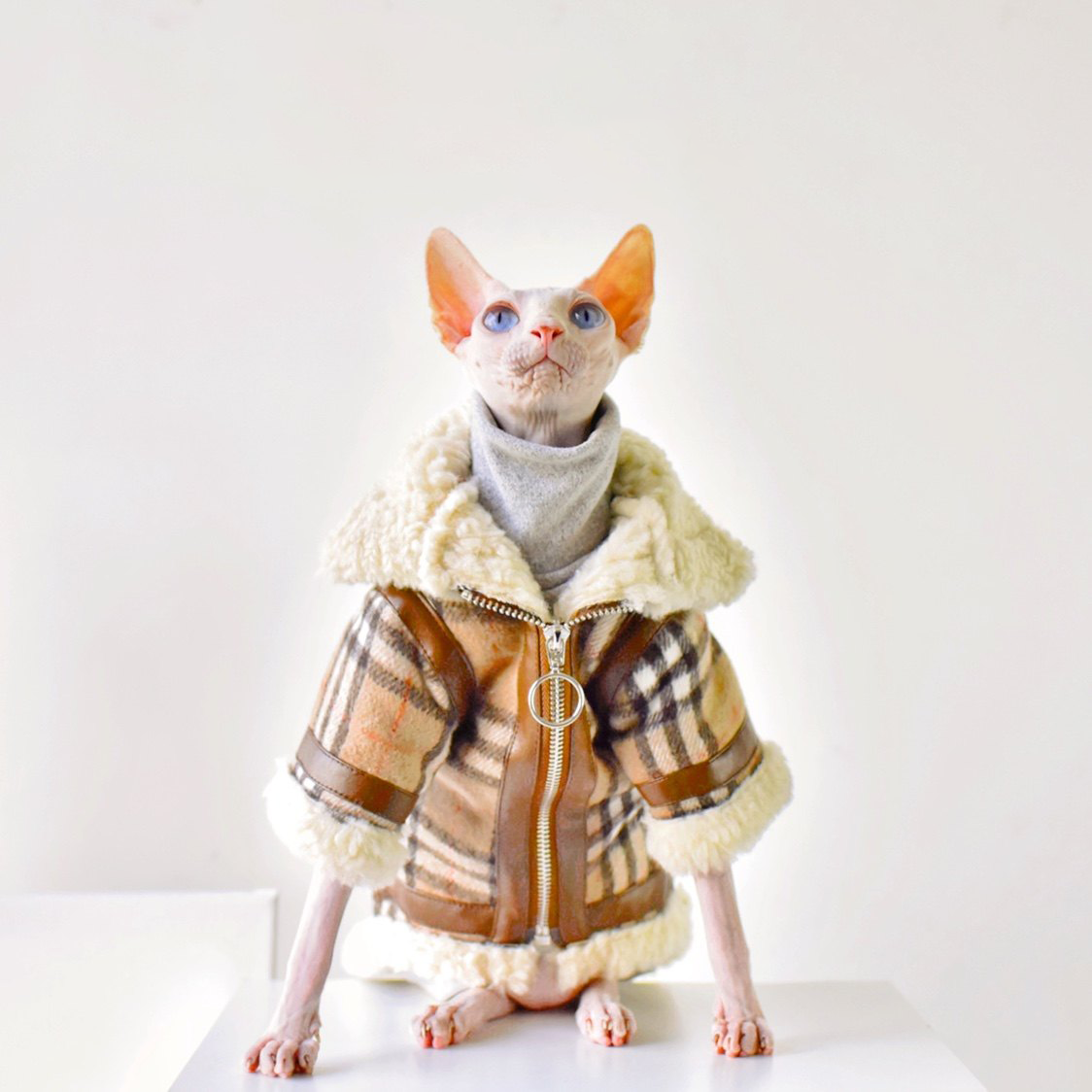 Warm Protect Coat Lamb Fur & Check Collar Sphynx Cat Clothes
