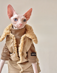 Sphynx Cat Weatherproof Jacket – Faux Leather Warm Coat