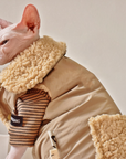 Sphynx Cat Weatherproof Jacket – Faux Leather Warm Coat