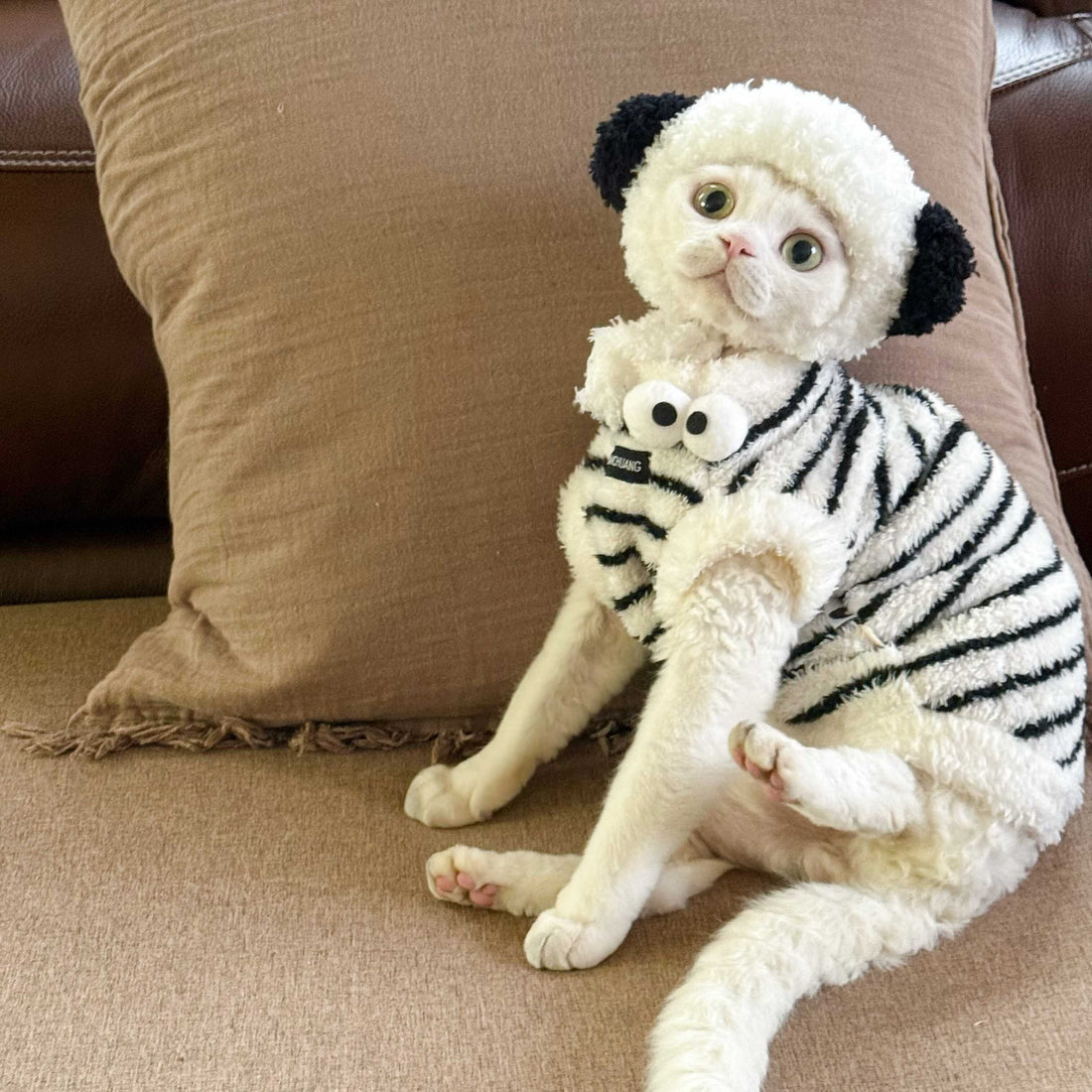 Zebra Fleece SphynxCat DevonRex Clothes