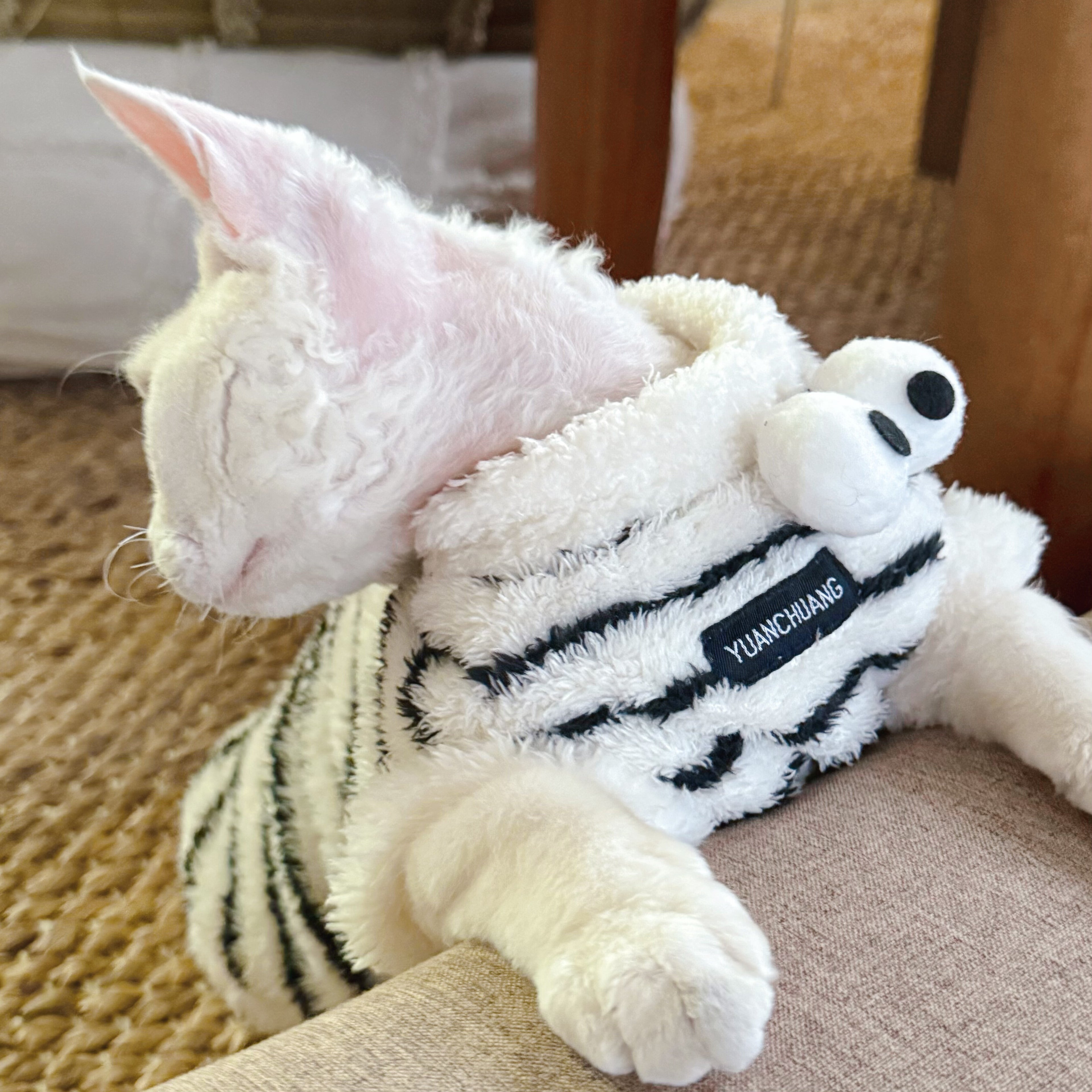 Zebra Fleece SphynxCat DevonRex Clothes
