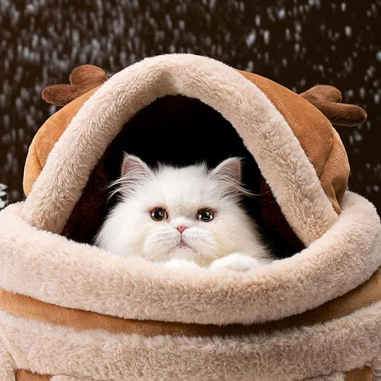 Cat Carrier Backpack Travel Bag