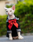 Sailor Kitty Cotton Hoodie Costumes for Cats