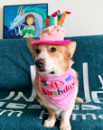 Dog Birthday Hat Toy