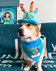 Dog Birthday Hat Toy