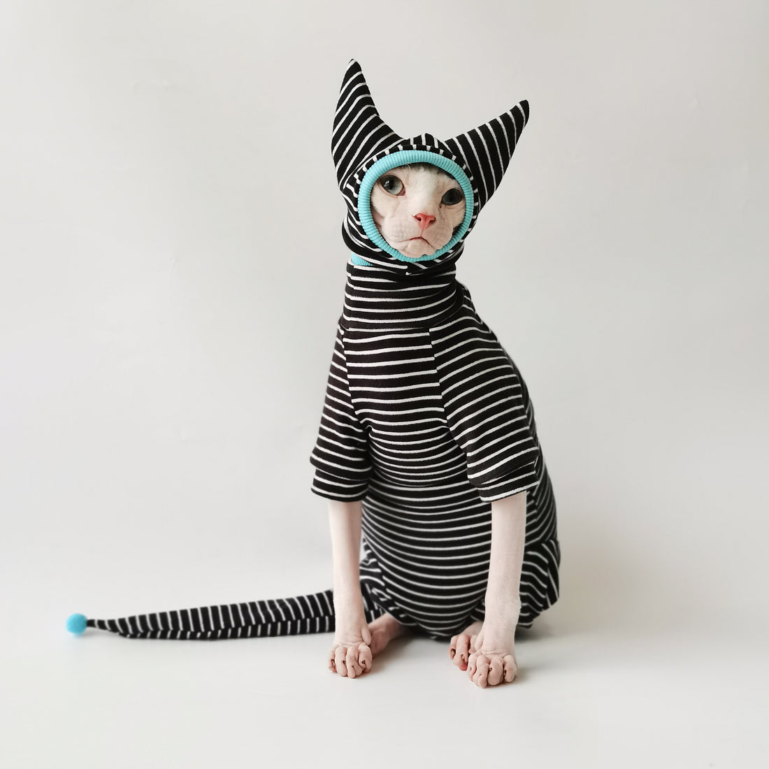 Striped Suit with Hat and Tail Cover