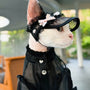 Black lace princess hat with pink bow on a Devon Rex cat wearing a black organza dress