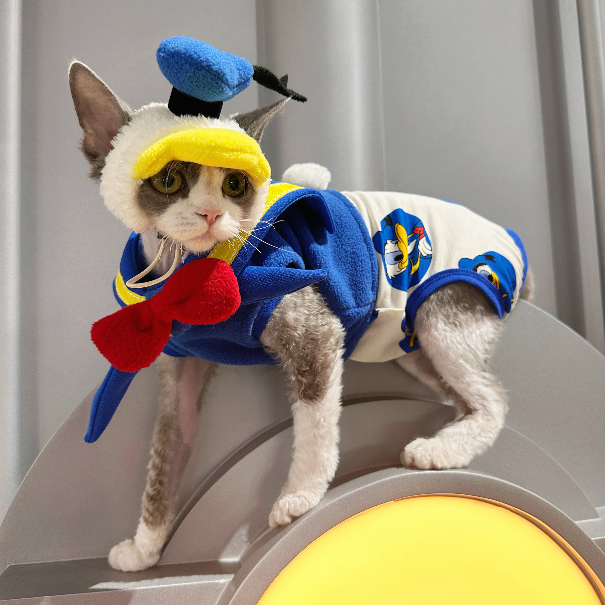 Donald Duck Costume for Sphynx Cat Cosplay Outfit