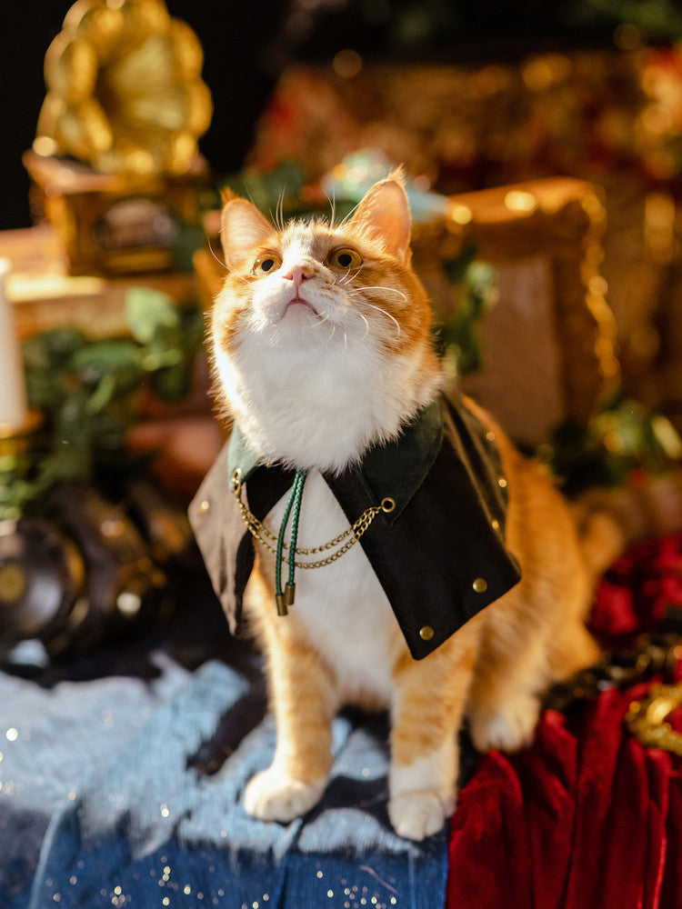 ginger Cat wearing steampunk velvet cape, looking upward