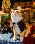 ginger Cat wearing steampunk velvet cape, looking upward