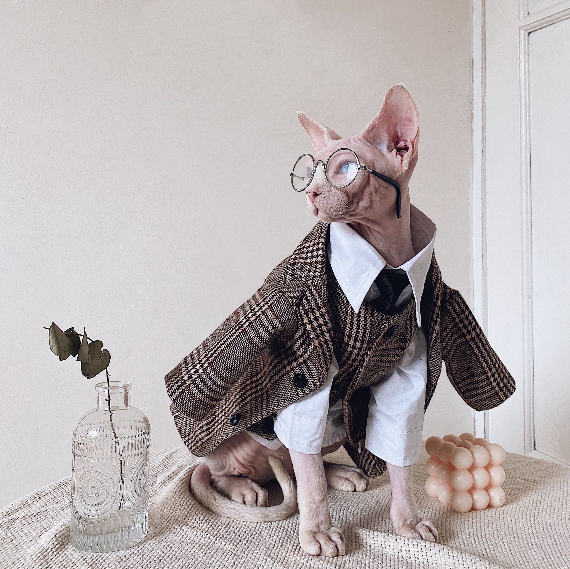 Sphynx Cat Tweed Suit – Three-Piece Formal Outfit