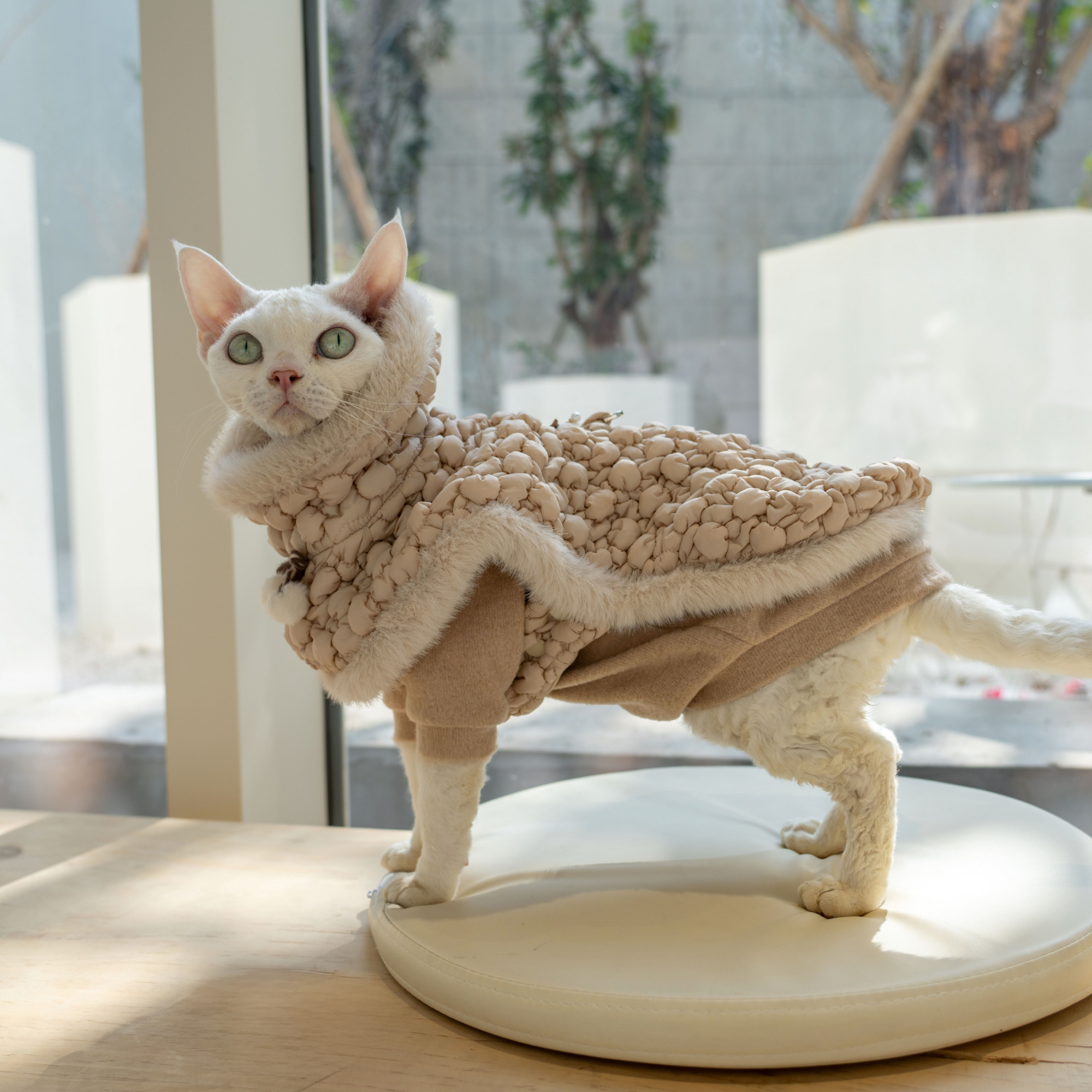 Snug-Cloak for Sphynx Cat Soft Warm Cat Clothing