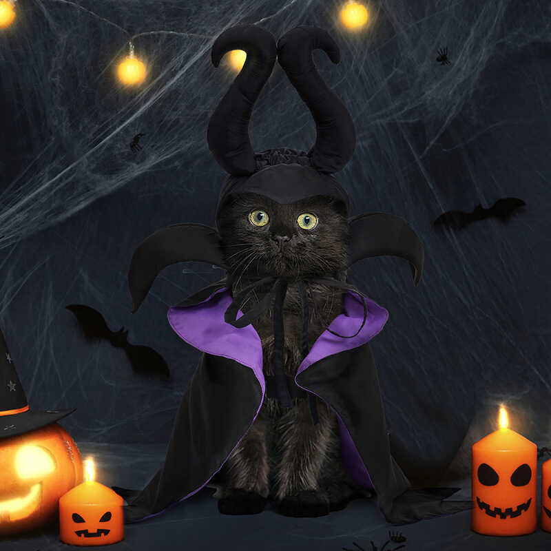 Maleficent Cosplay Costume Magic Cloak and Hat for Hallowe