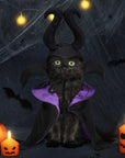 Maleficent Cosplay Costume Magic Cloak and Hat for Hallowe