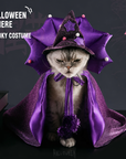 Purple satin wizard hat and cape set on cat, Halloween costume