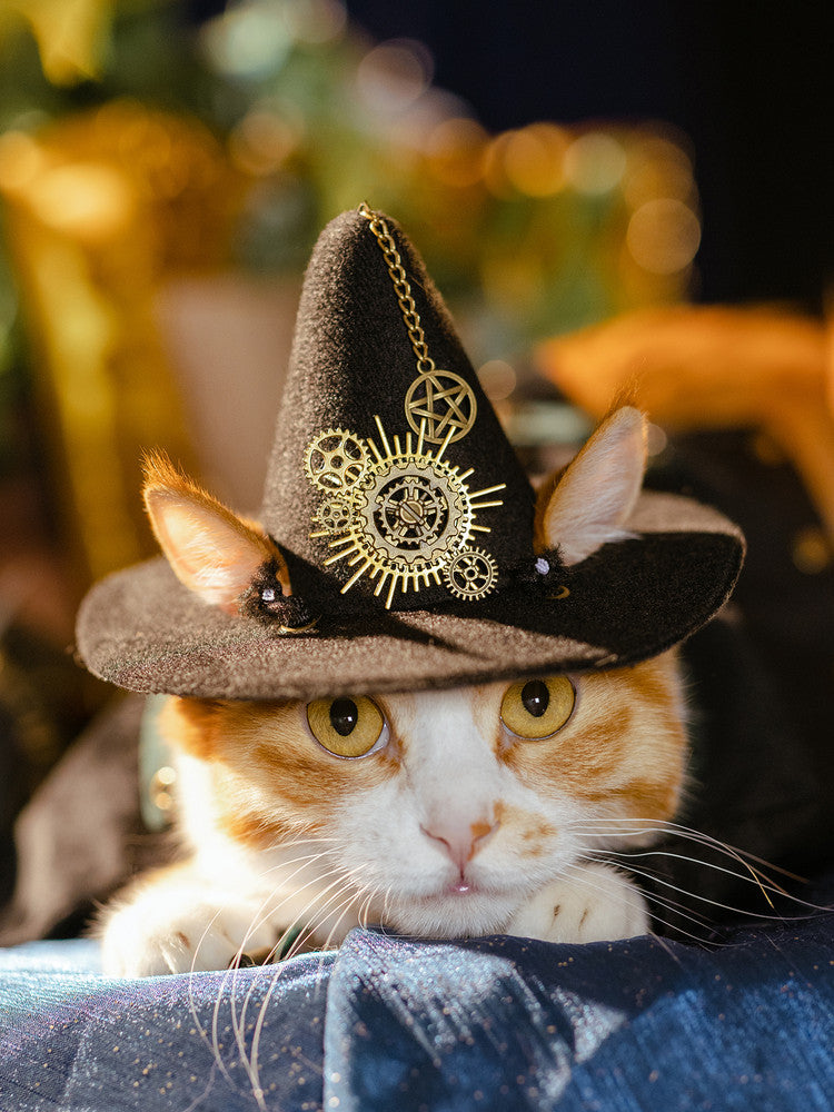Cat wearing steampunk witch hat with brass gear pendant