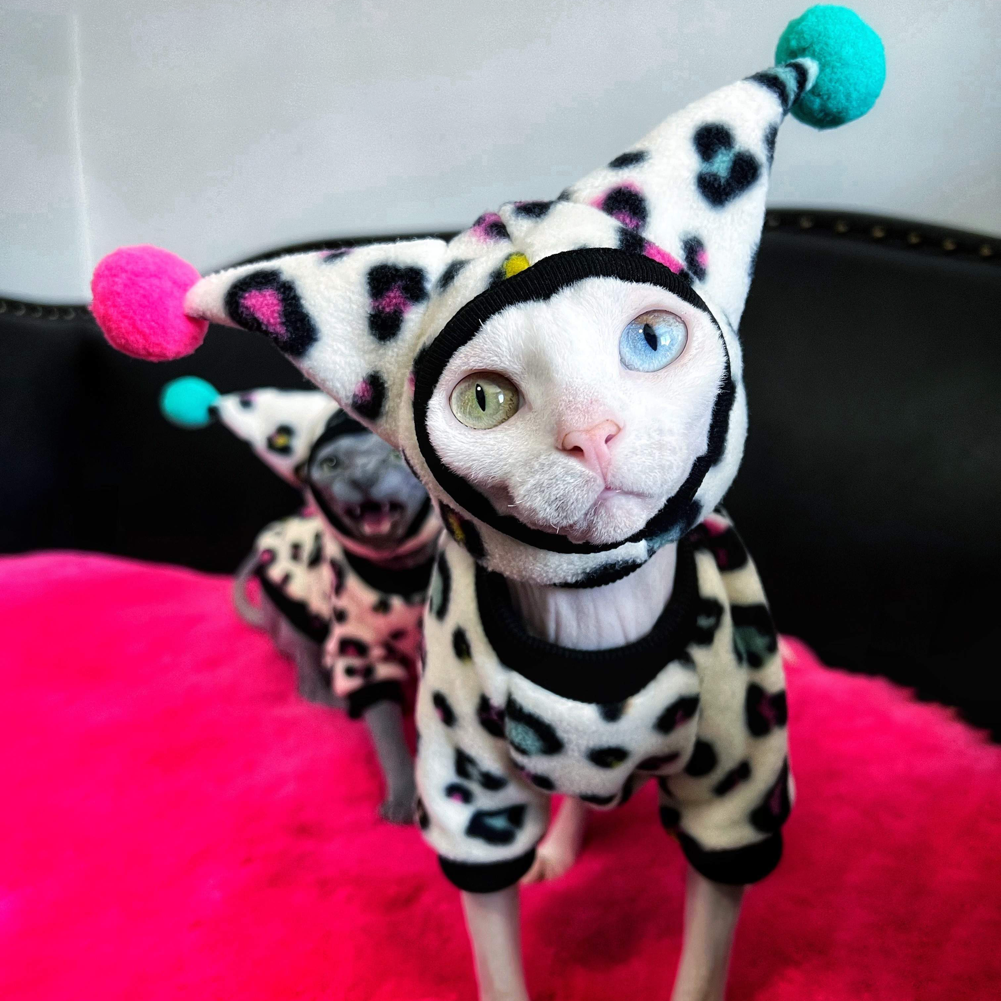 Leopard Costume for Sphynx Cat Soft Cosplay Outfit