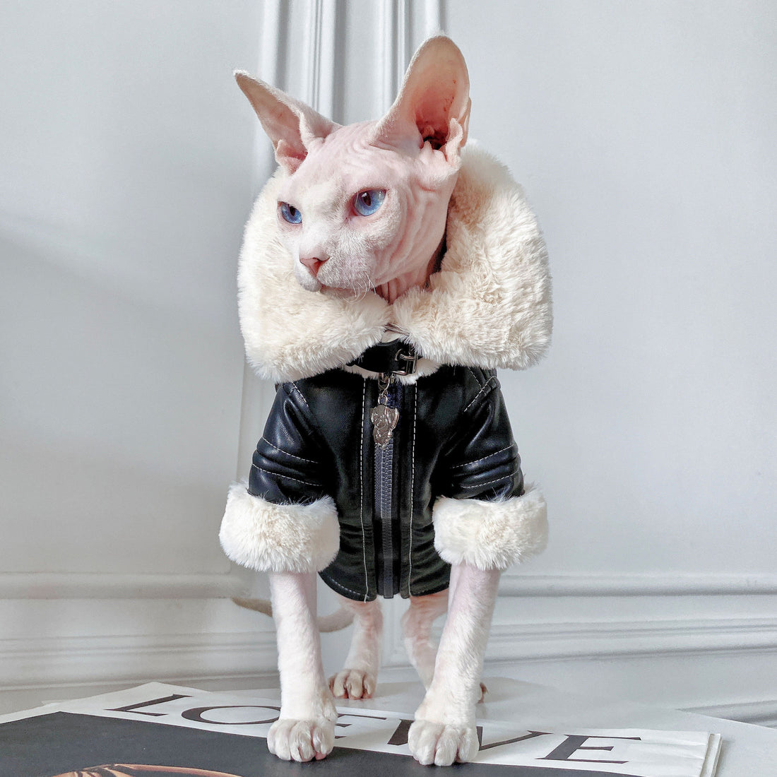 Biker Jacket with Faux Fur Lining for SphynxCat