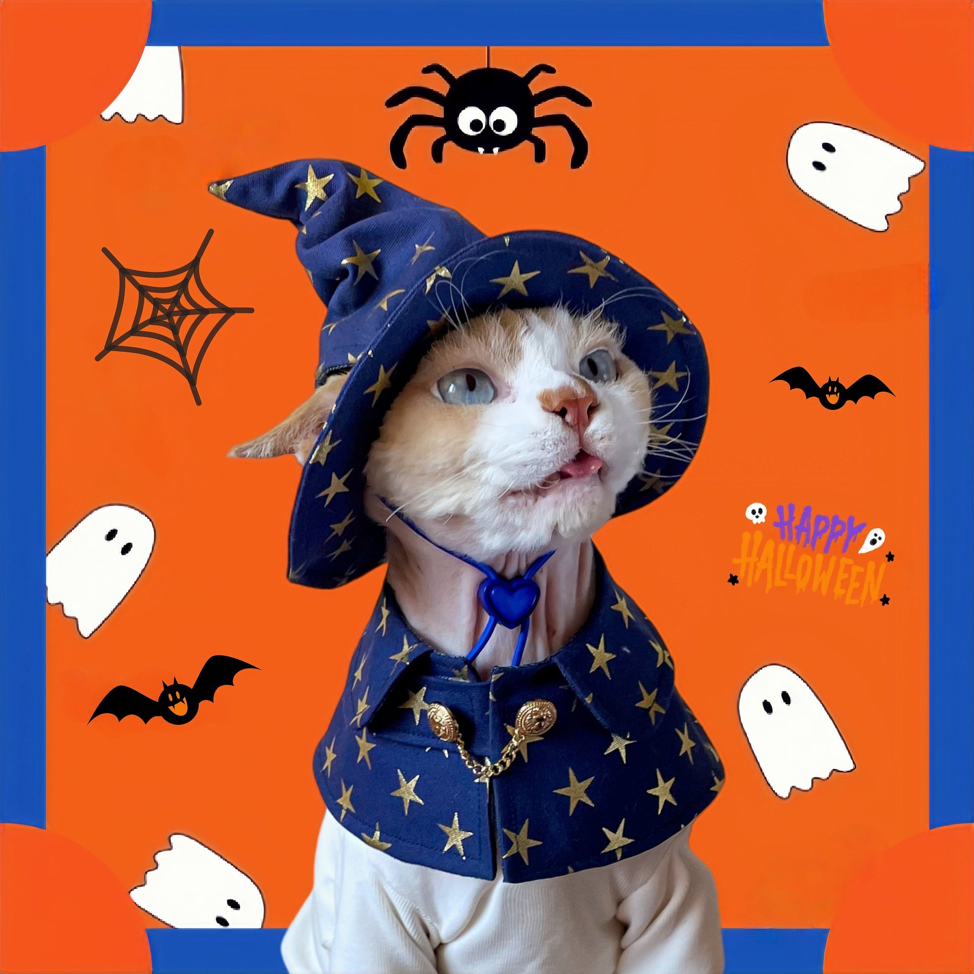 Cat wearing blue gothic mage hat and cape Halloween costume with ear cutout design