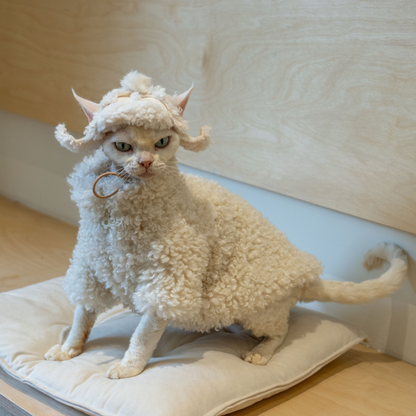 Fleece Coat for SphynxCat DevonRex