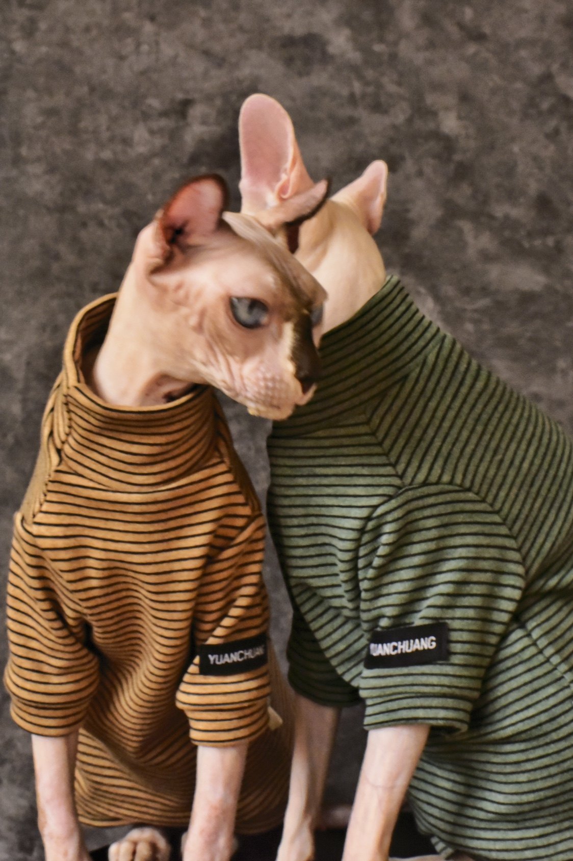 Sphynx Cat Turtleneck Shirt – Cotton Stripe (Beige &amp; Green)
