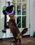 Halloween Witch Door Hanger Cat Scrather