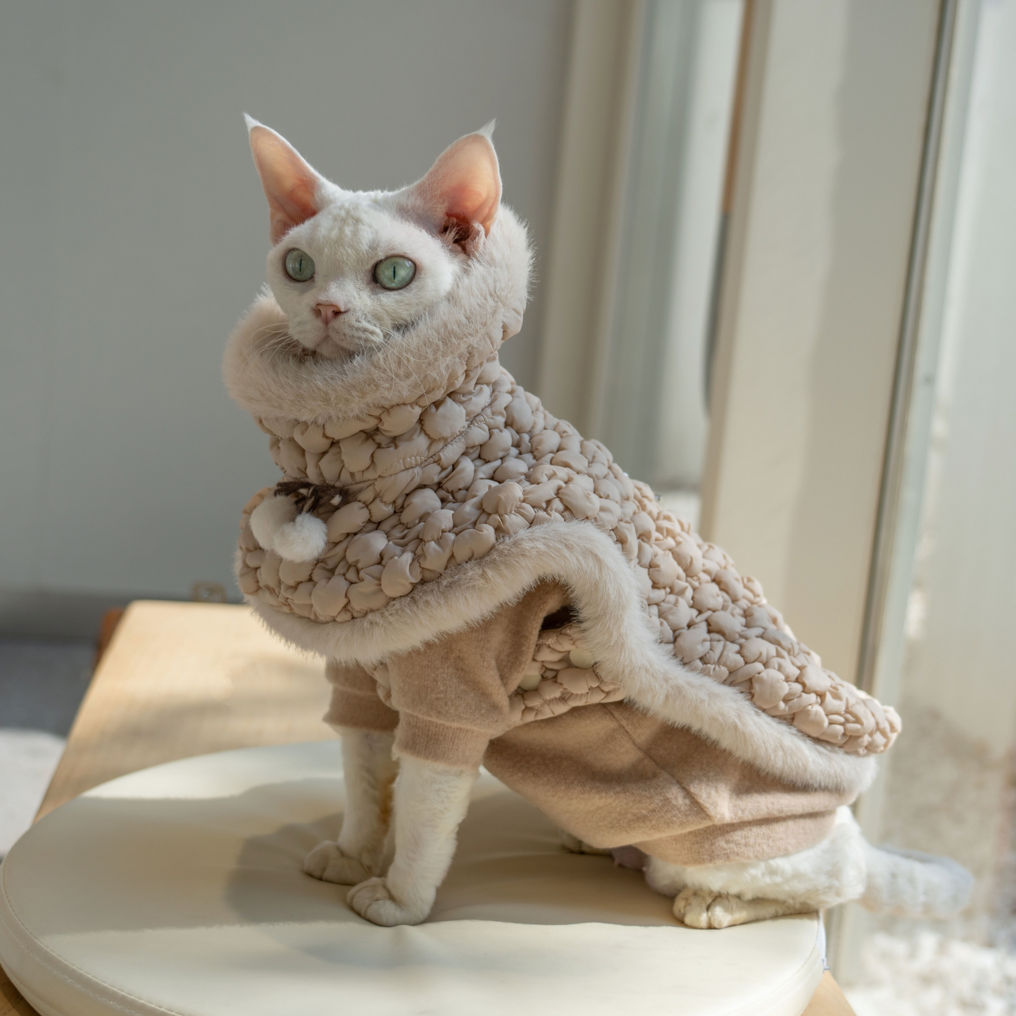 Snug-Cloak for Sphynx Cat Soft Warm Cat Clothing