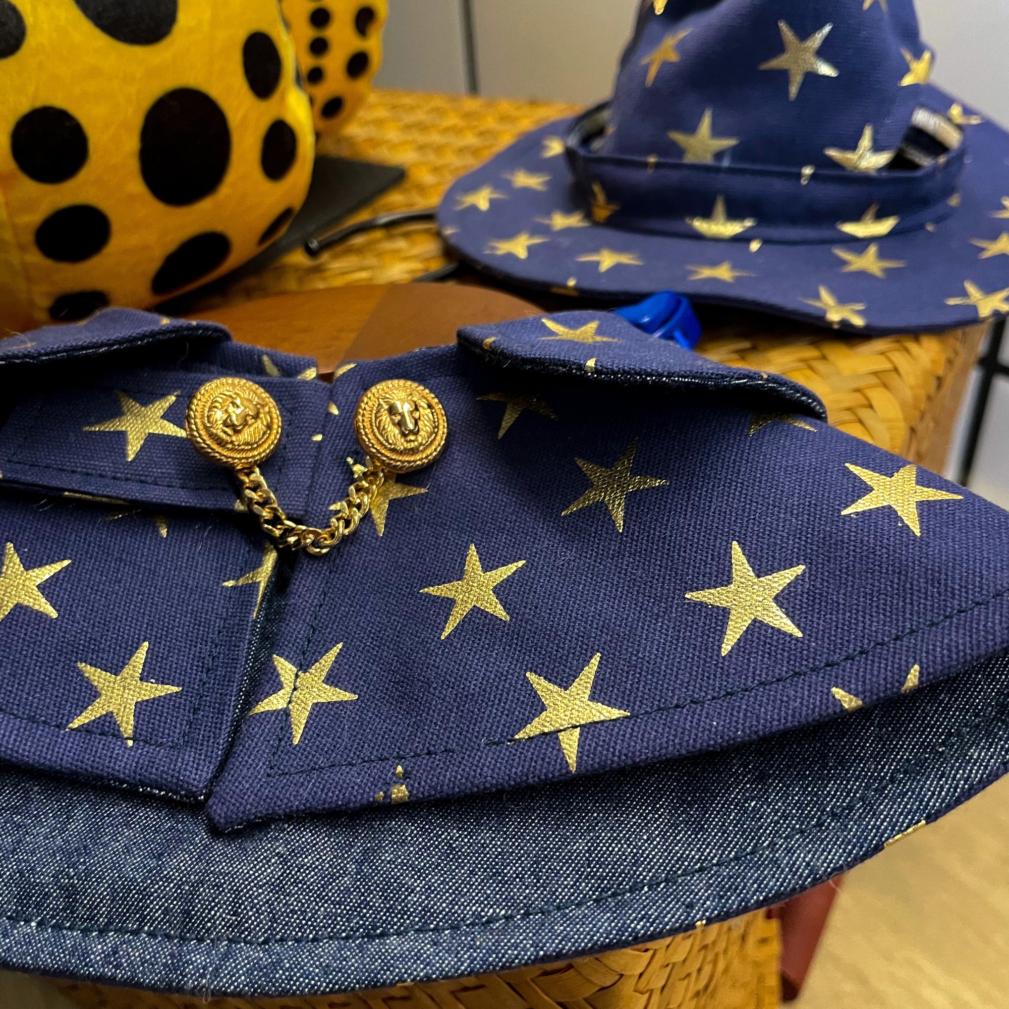 Blue gothic mage hat and cape set, Halloween costume for cats and dogs