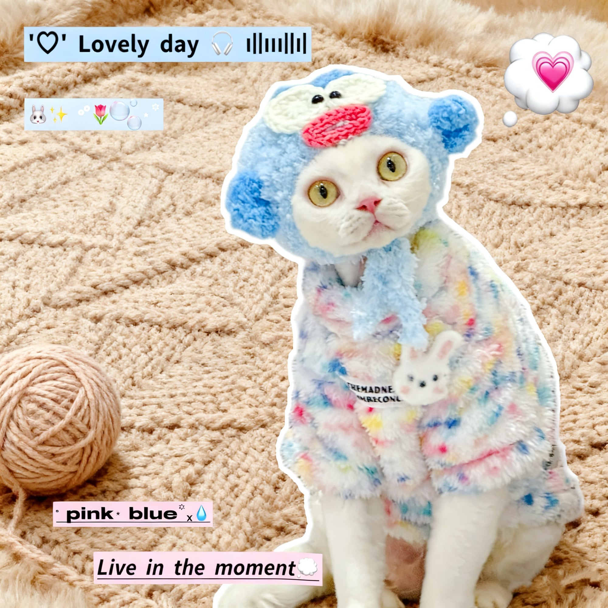 Sphynx Cat Fleece Onesie – Rainbow Bunny Bodysuit