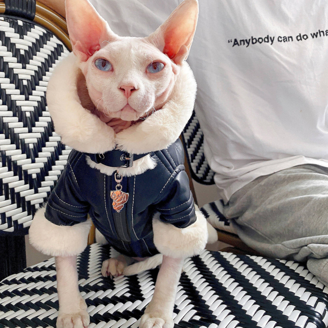 Biker Jacket with Faux Fur Lining for SphynxCat