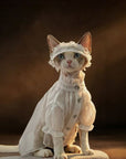Pink organza princess dress on hairless cat, spring cat clothing