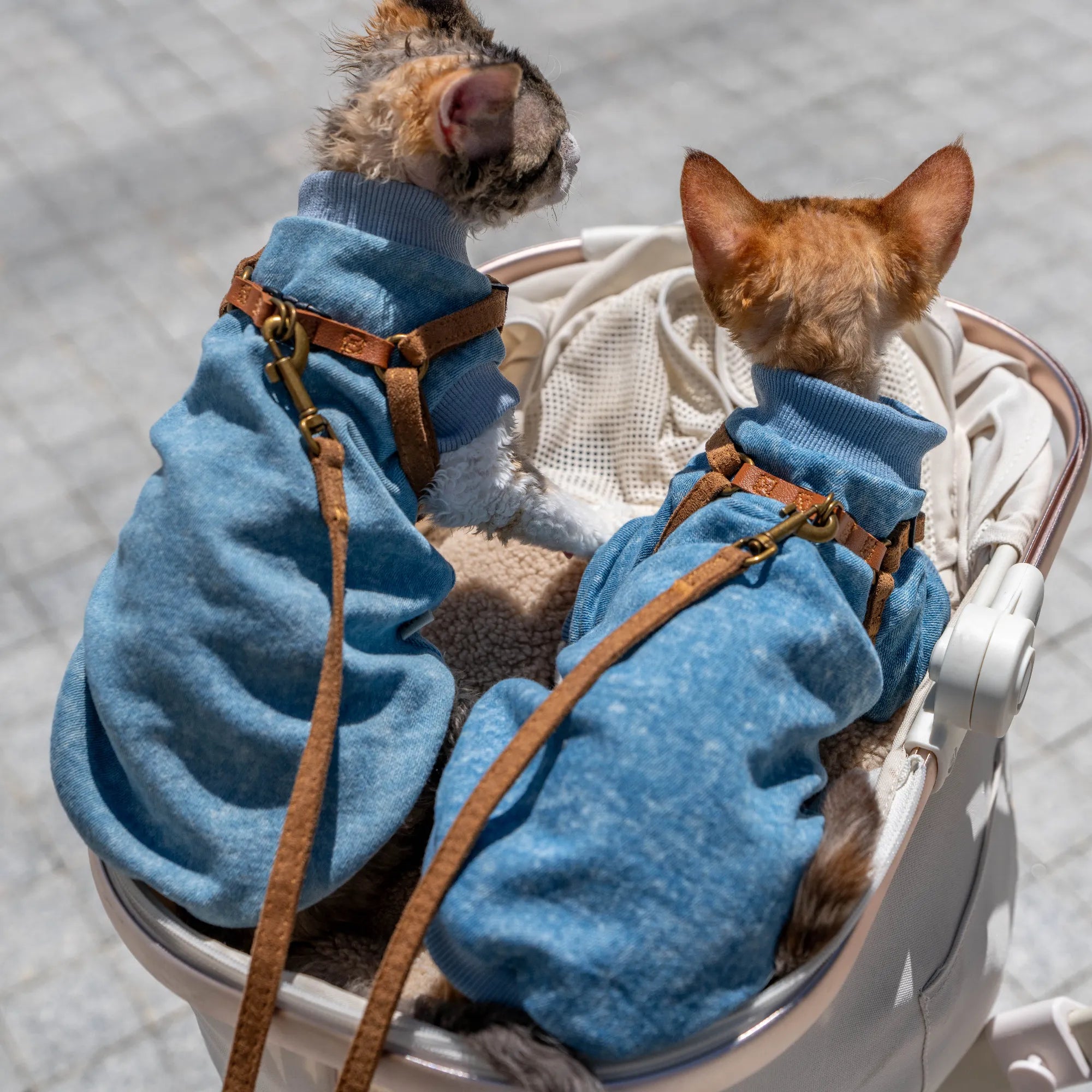 Stretch Denim Sweatshirt for Sphynx Cat Comfortable Outfit