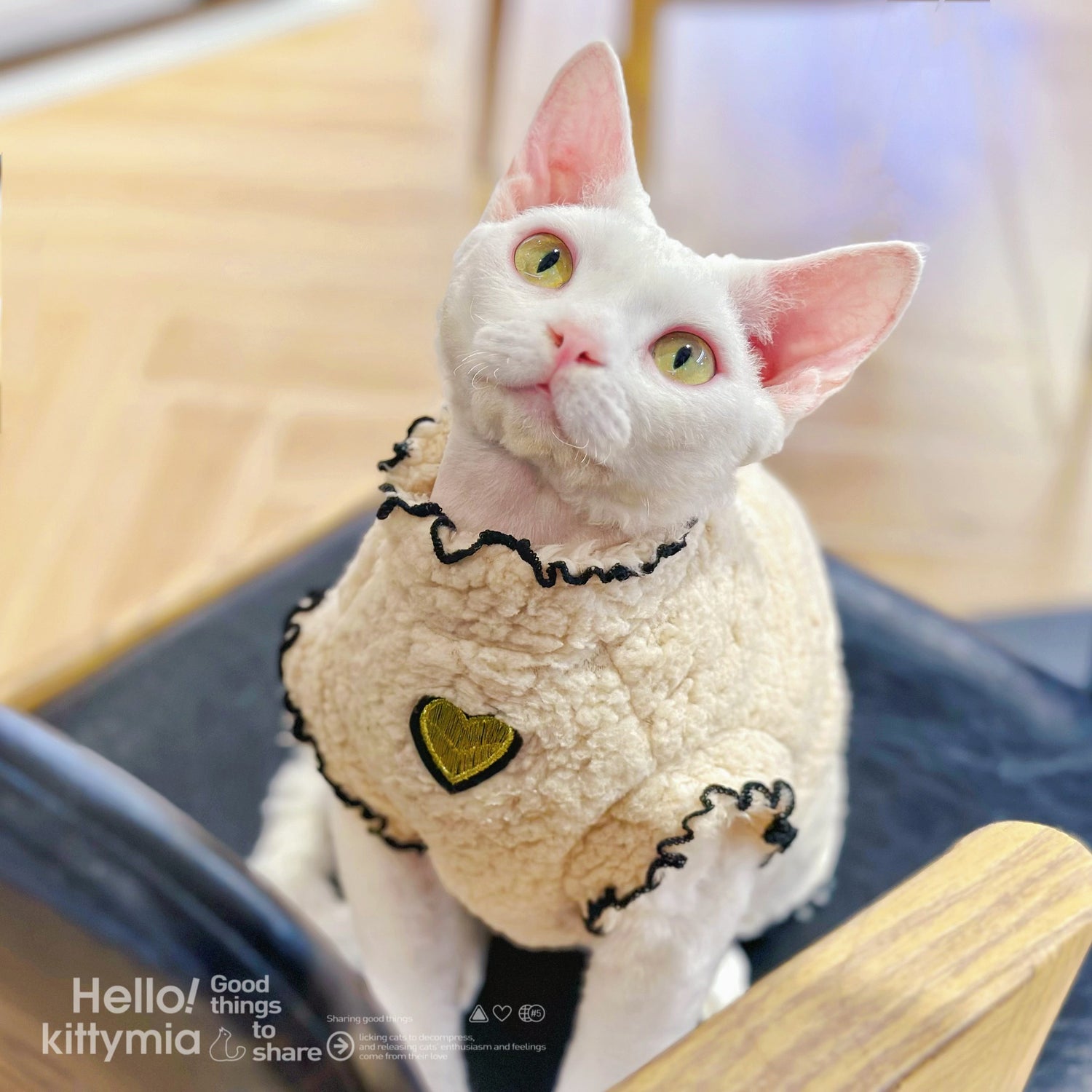 Double-Sided Fleece Shirts DevonRex Sphynx Cat Clothes