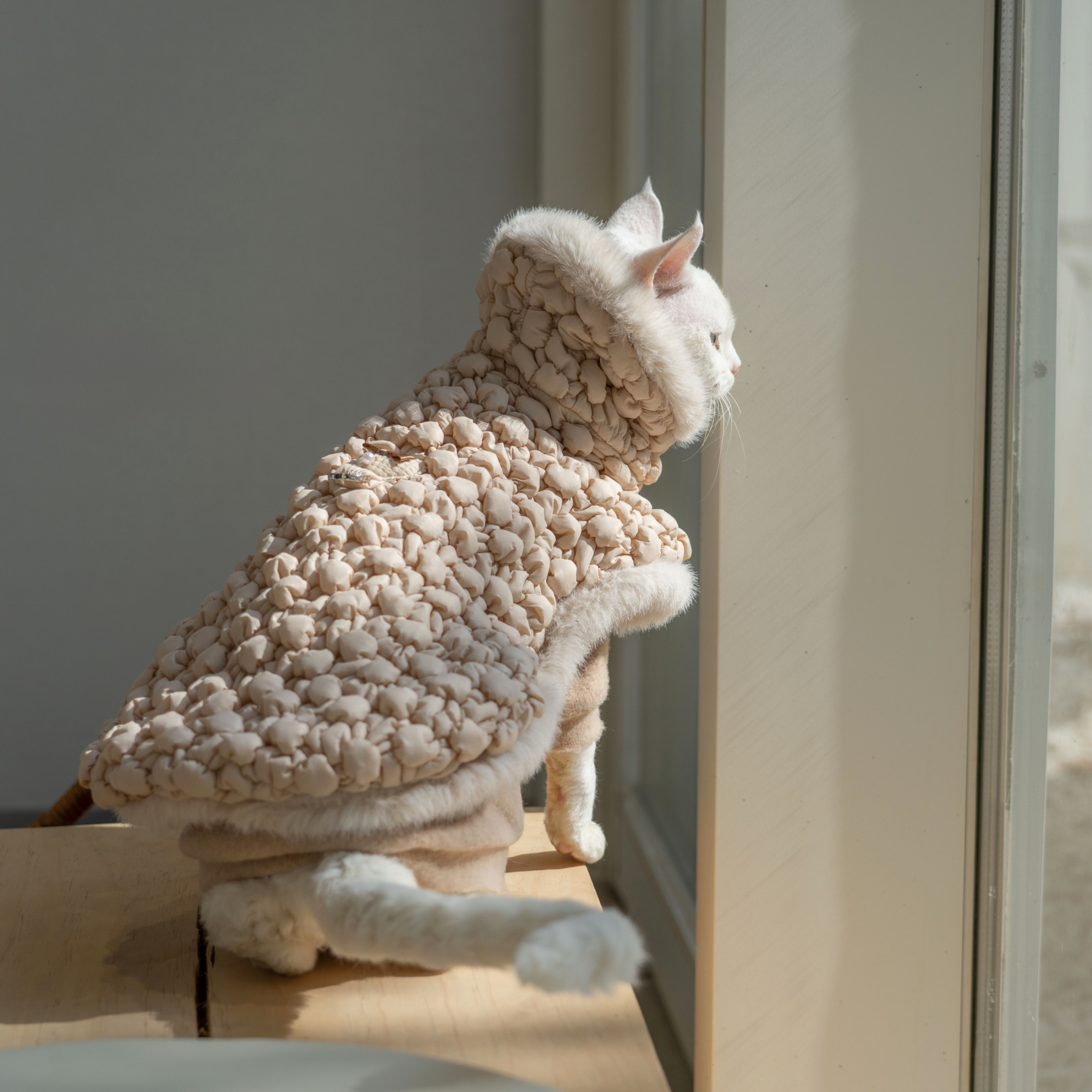 Snug-Cloak for Sphynx Cat Soft Warm Cat Clothing