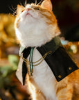 Close-up of cat wearing steampunk mage cape, front view