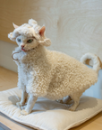 Fleece Hat for SphynxCat DevonRex White