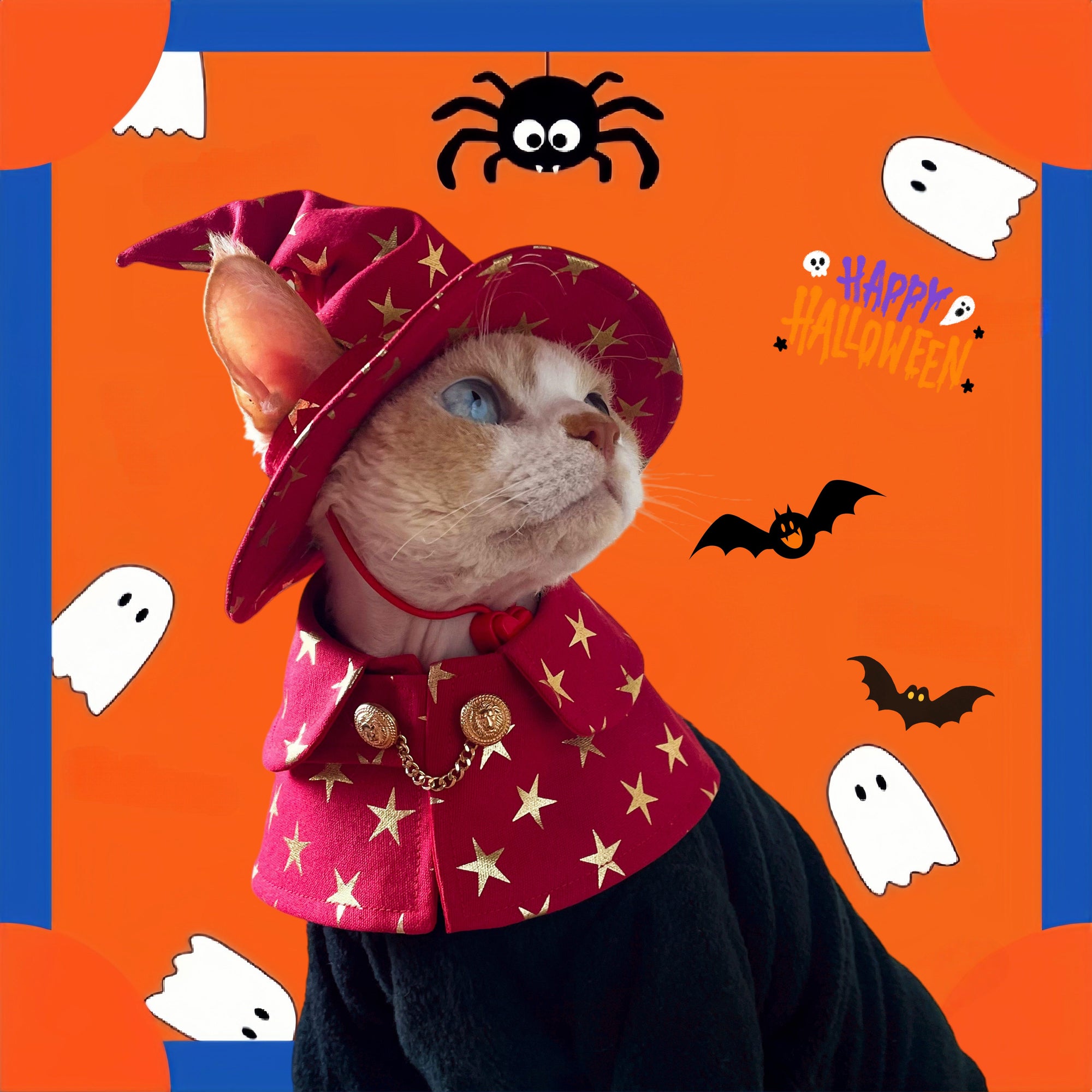 Cat wearing red gothic mage hat and cape Halloween costume with ear cutout design