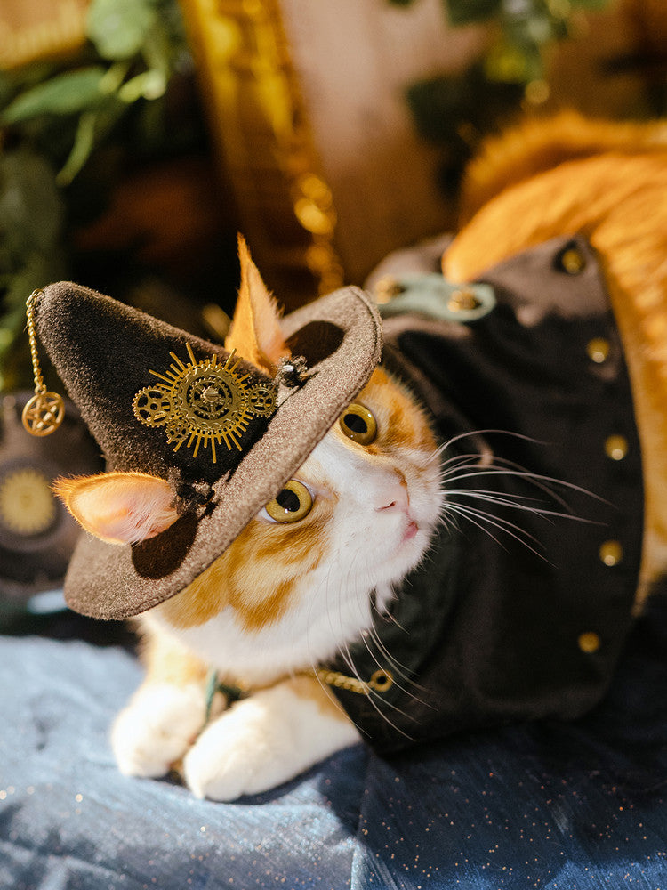 Cat wearing steampunk witch hat with pentagram charm