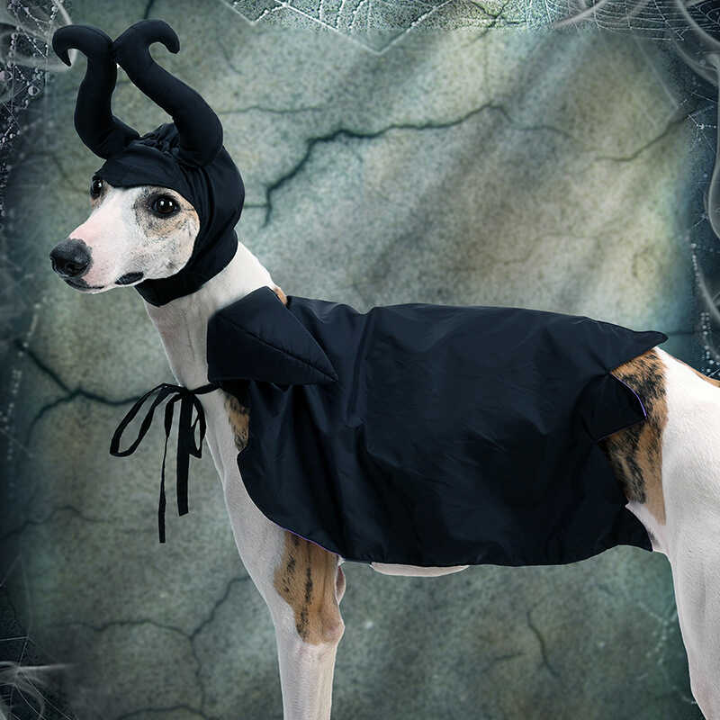 Maleficent Cosplay Costume Magic Cloak and Hat for Hallowe