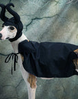 Maleficent Cosplay Costume Magic Cloak and Hat for Hallowe