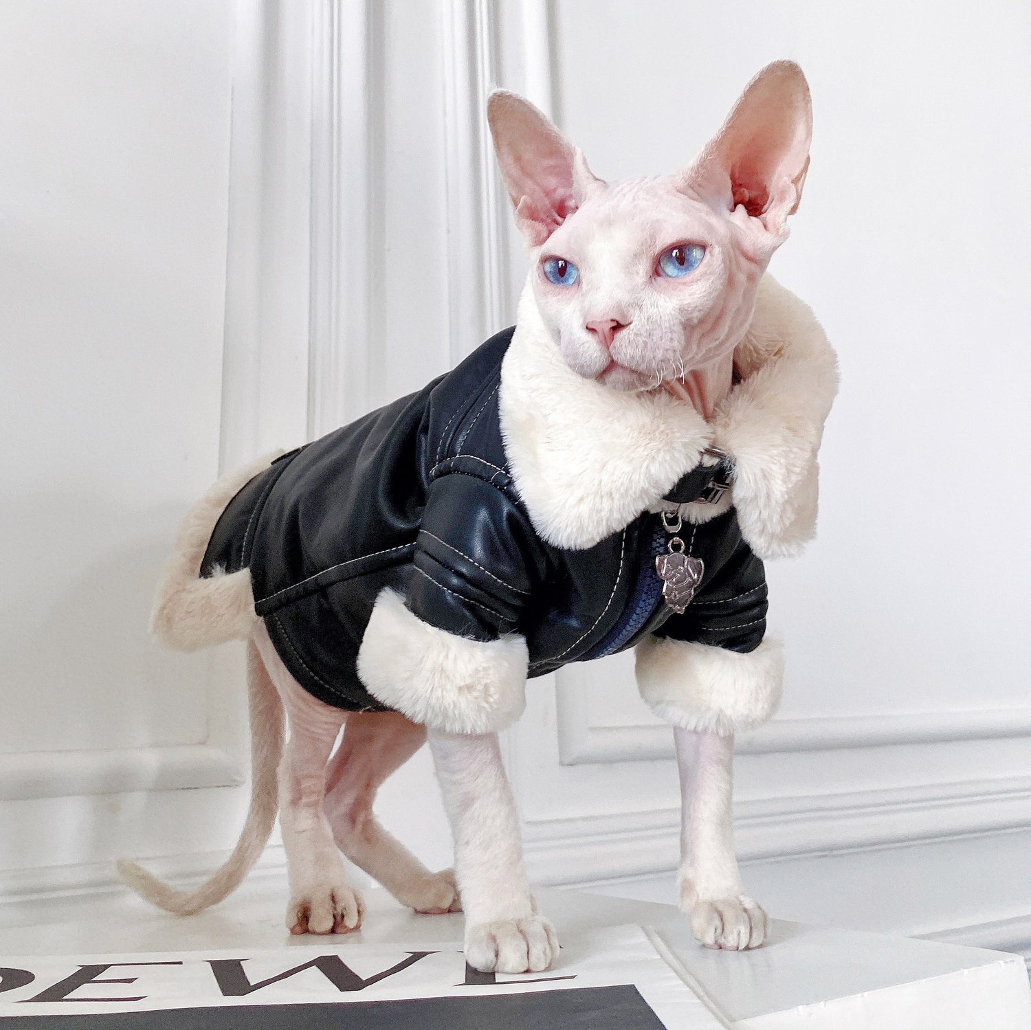 Biker Jacket with Faux Fur Lining for SphynxCat