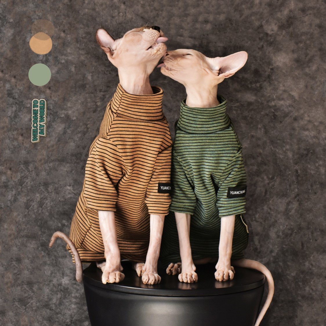 Sphynx Cat Turtleneck Shirt – Cotton Stripe (Beige &amp; Green)