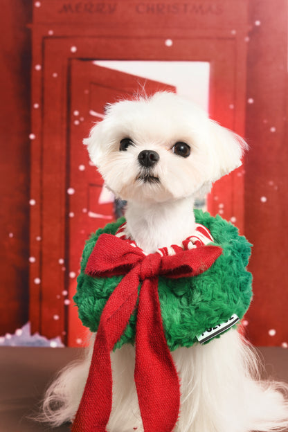 Christmas Holiday Hat and Scarf for Cat and Dog