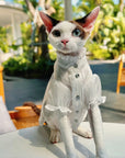 Black organza princess dress on hairless cat, spring cat clothing