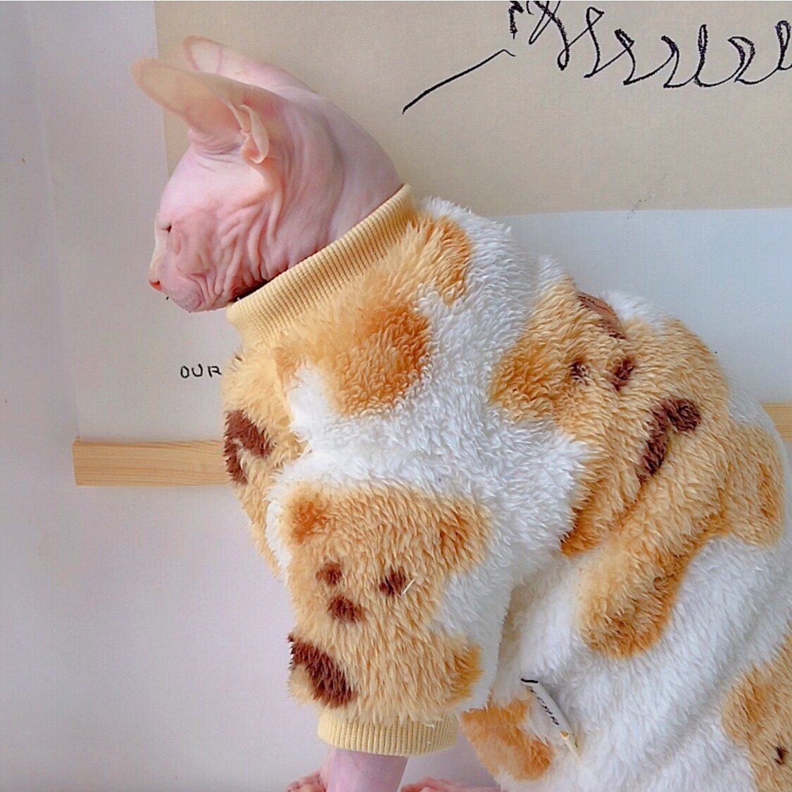 Plush Double-Sided Fleece Little Bear Shirts Sphynx Cat Clothes
