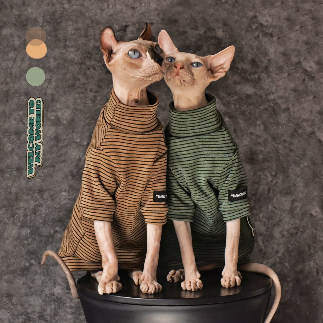 Sphynx Cat Turtleneck Shirt – Cotton Stripe (Beige &amp; Green)